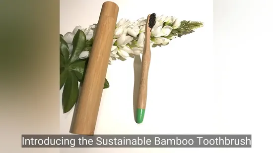 Premium Soft Bristle Toothbrush with Custom Logo for Home Use 