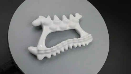 Ceramic Gua Sha Face and SPA Massage Tool 